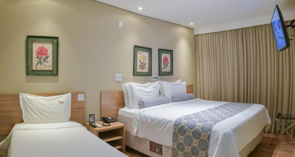 Aracatuba Plaza Hotel Экстерьер фото
